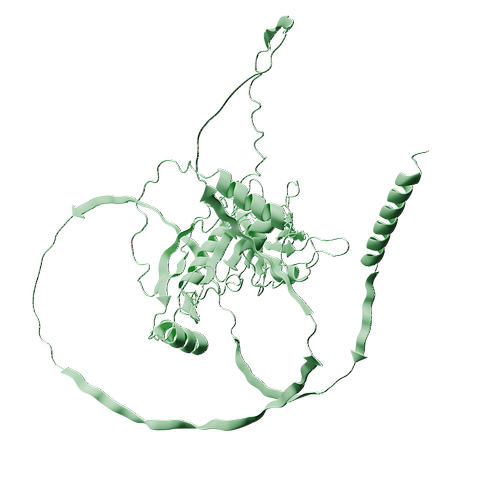 P43026-Human GDF-5-3d structure.jpg